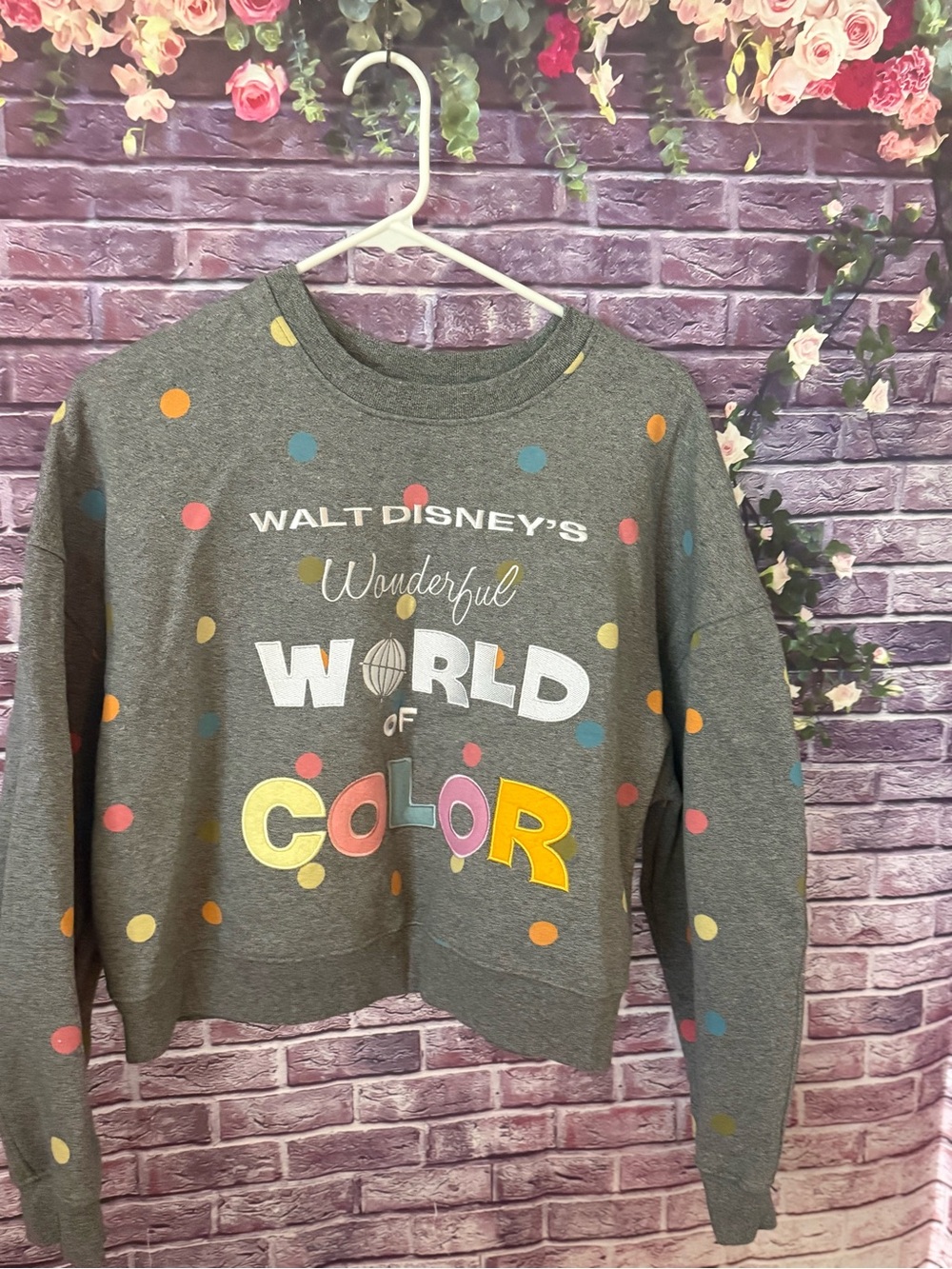 Disney Gray 'World of Color' Polka Dot Sweatshirt new large rare sold out 100